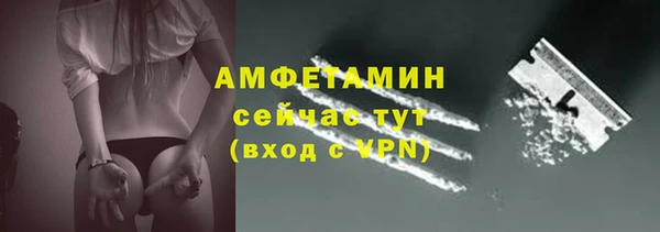 сатива Баксан