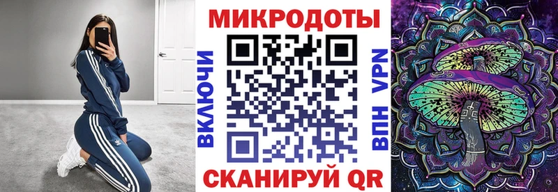 Купить  Щигры  Галлюциногенные грибы мицелий 